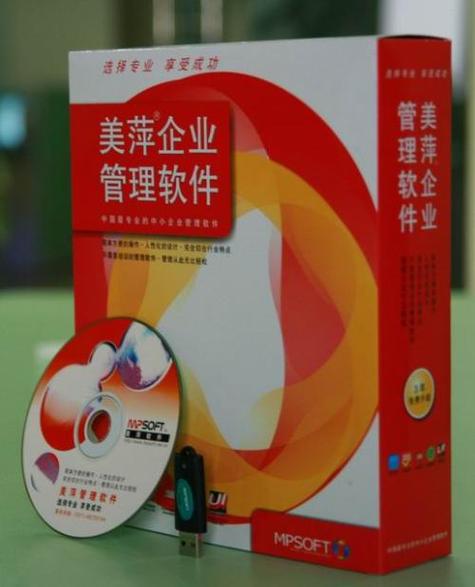 美萍网络技术 深耕软件开发与网络技术，赋能企业数字化转型