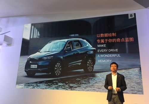 战略协同 技术开发、设施建设与经销网络的多维合作